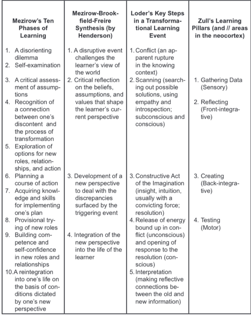 Transformative Learning Theory as a Hermeneutic for Understanding ...