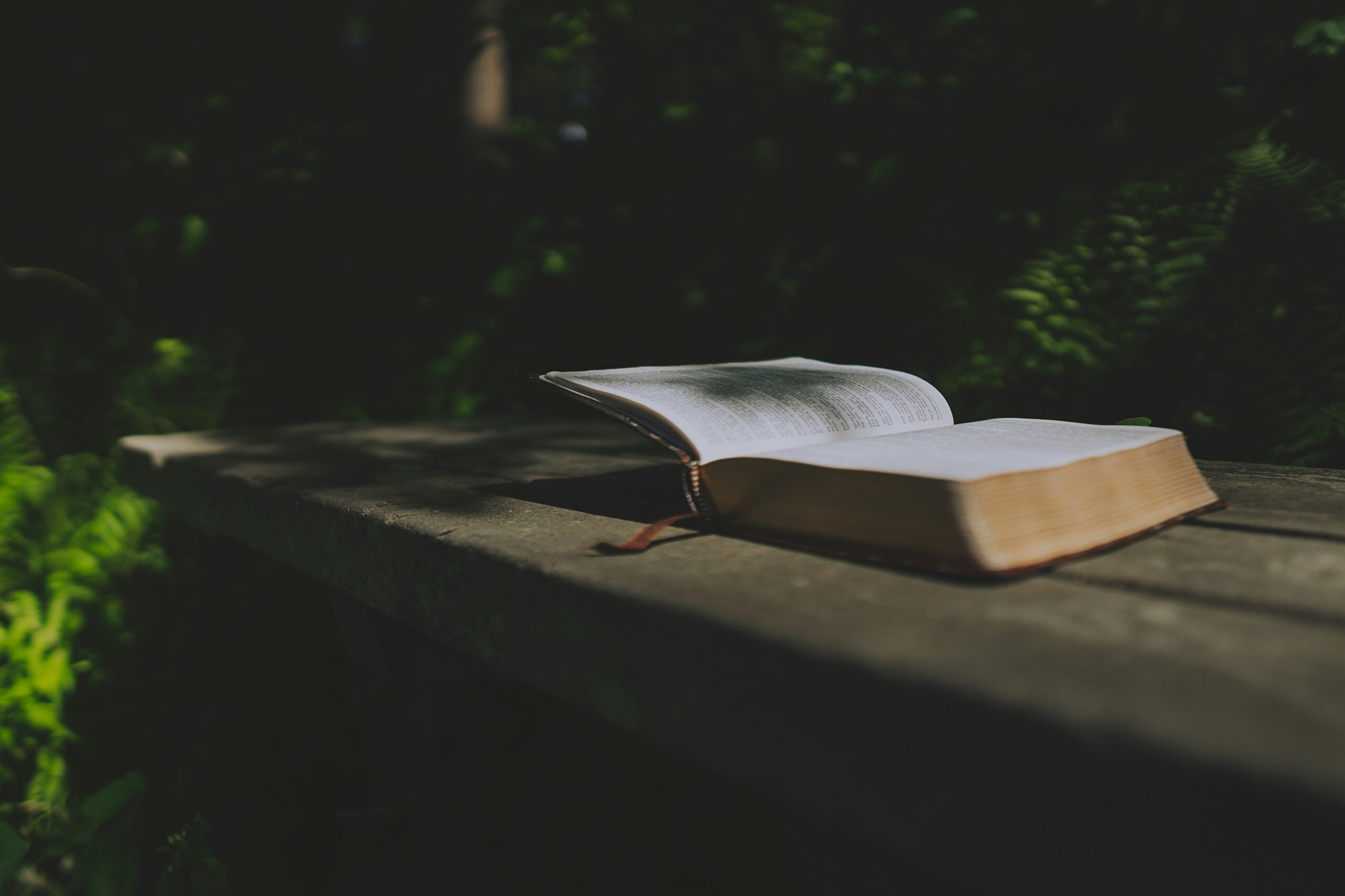 A Response to Miles Smith IV’s CSR Review of <em>Another Gospel</em>
