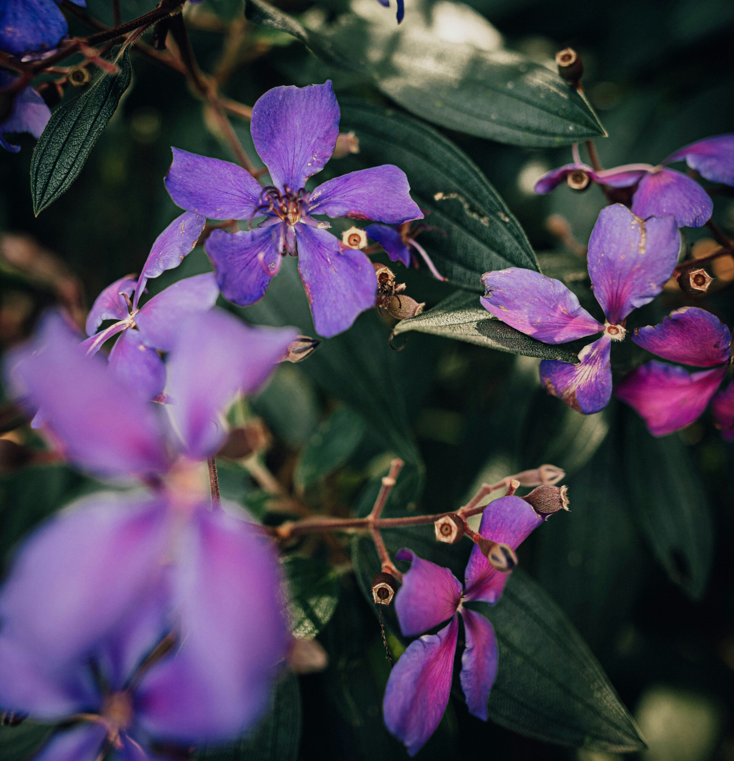 Introduction to a Flourishing Life:<br>Responding to the Needs of Gen Z