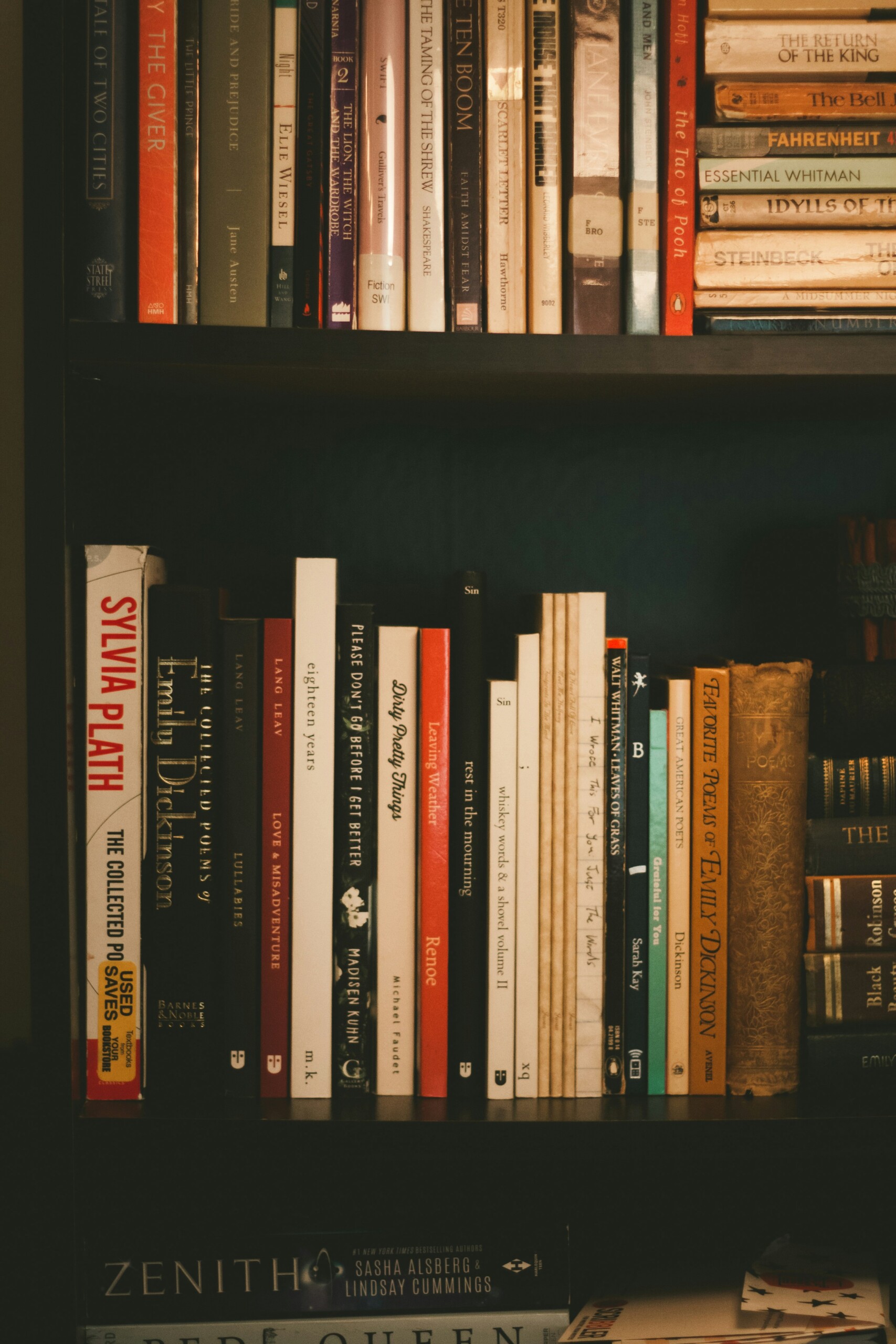 Poetry for Perspective-Taking