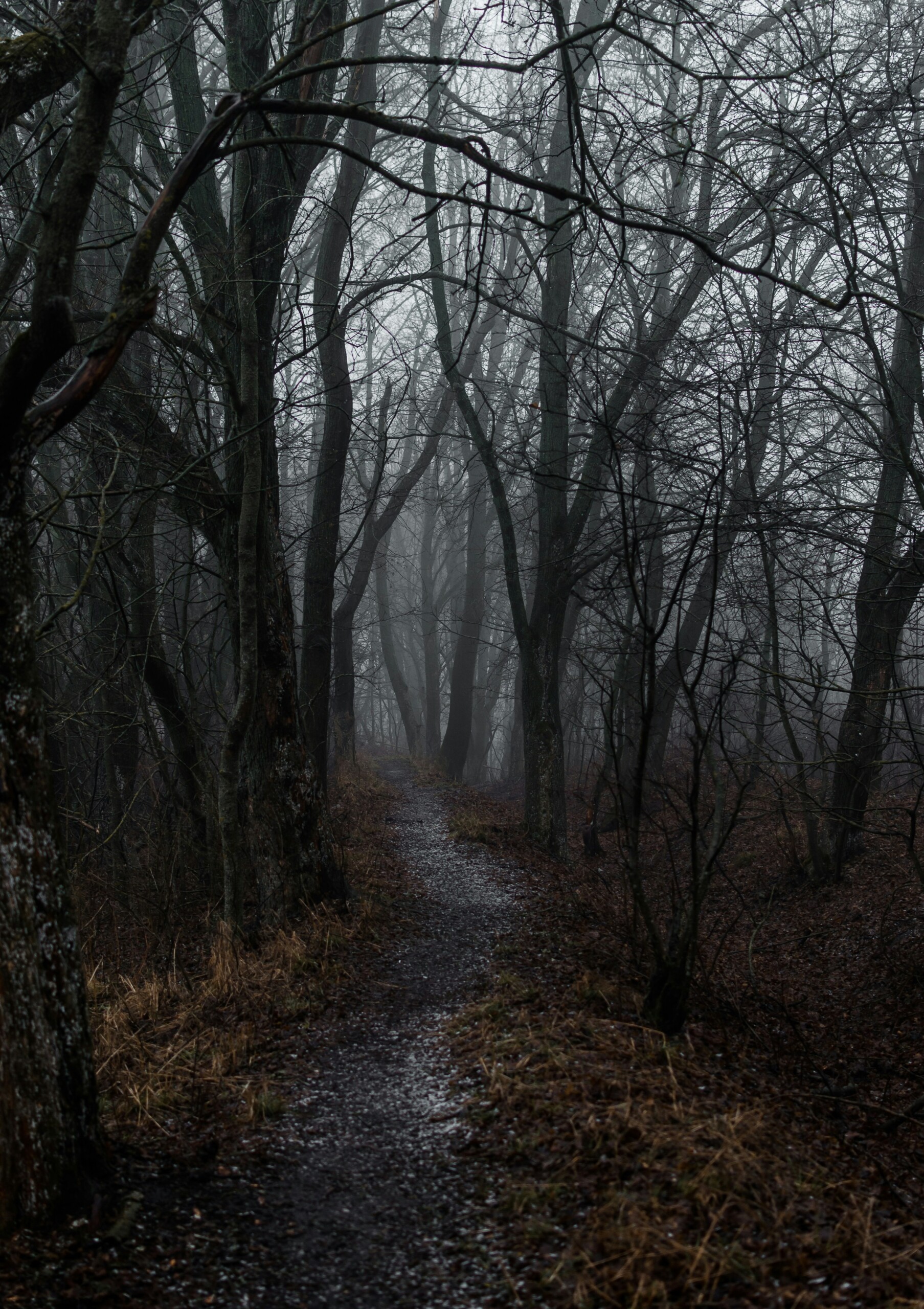 Navigating Murky Pathways through Christian Higher Education: A New Resource