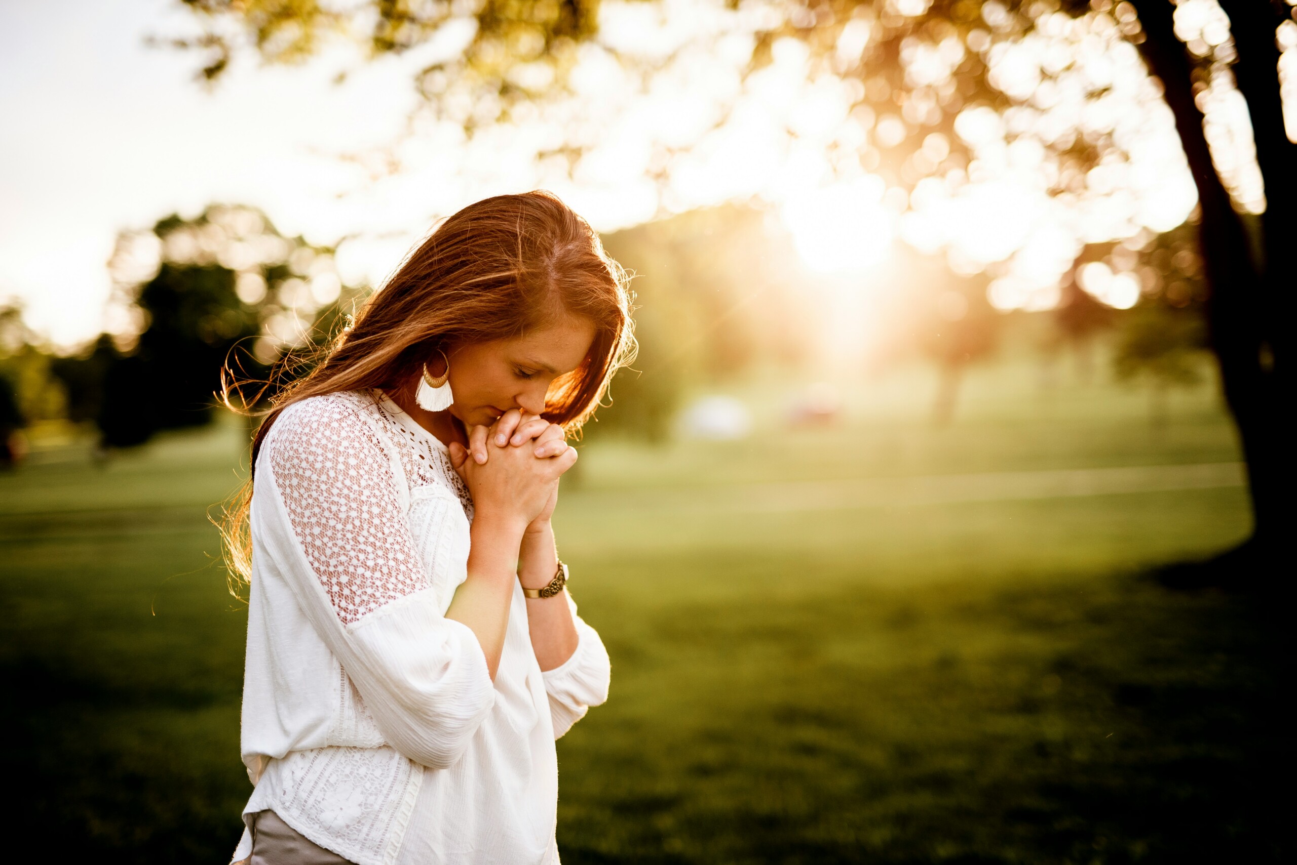 Faithful Faculty: Vocational Flourishing in Christian Higher Education