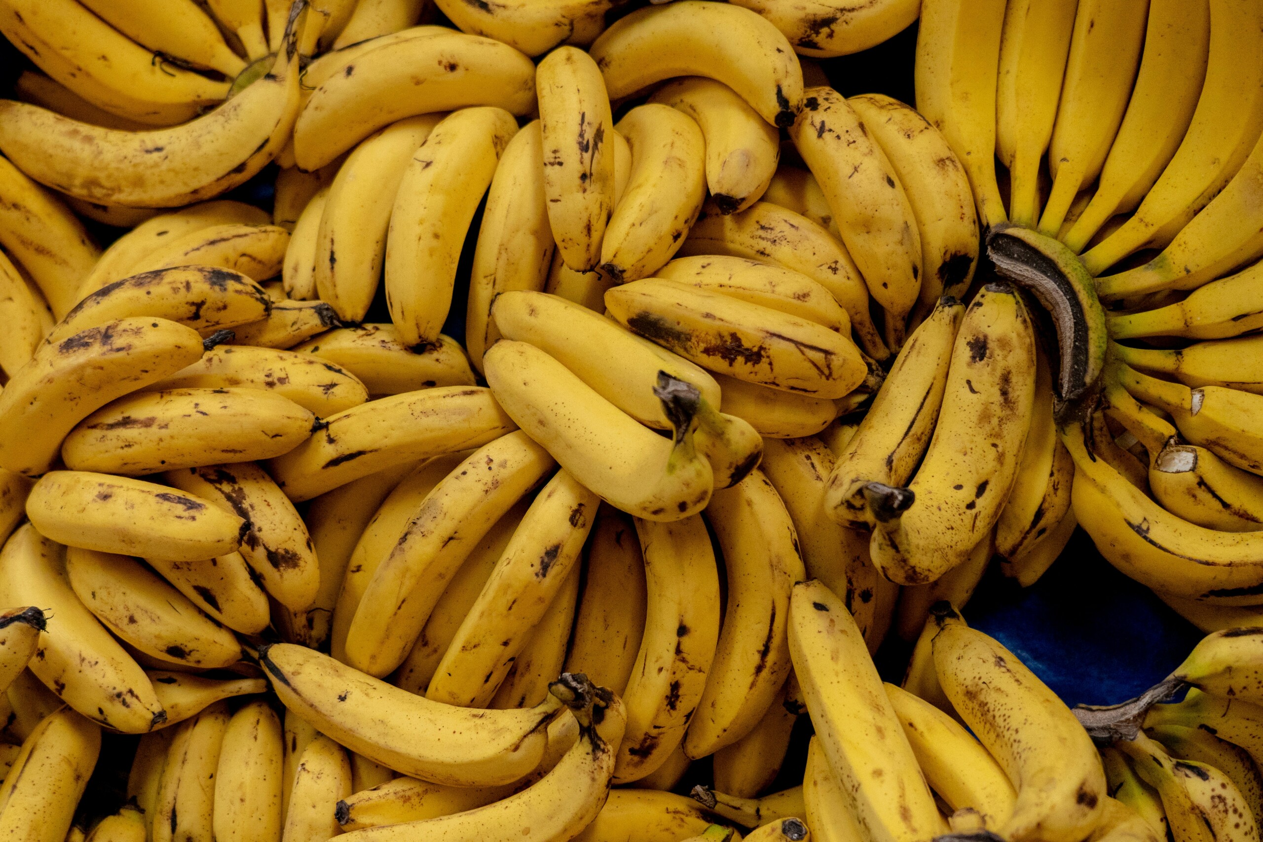 A Bananas Compass for Learning: The World’s Greatest Banana Salesman