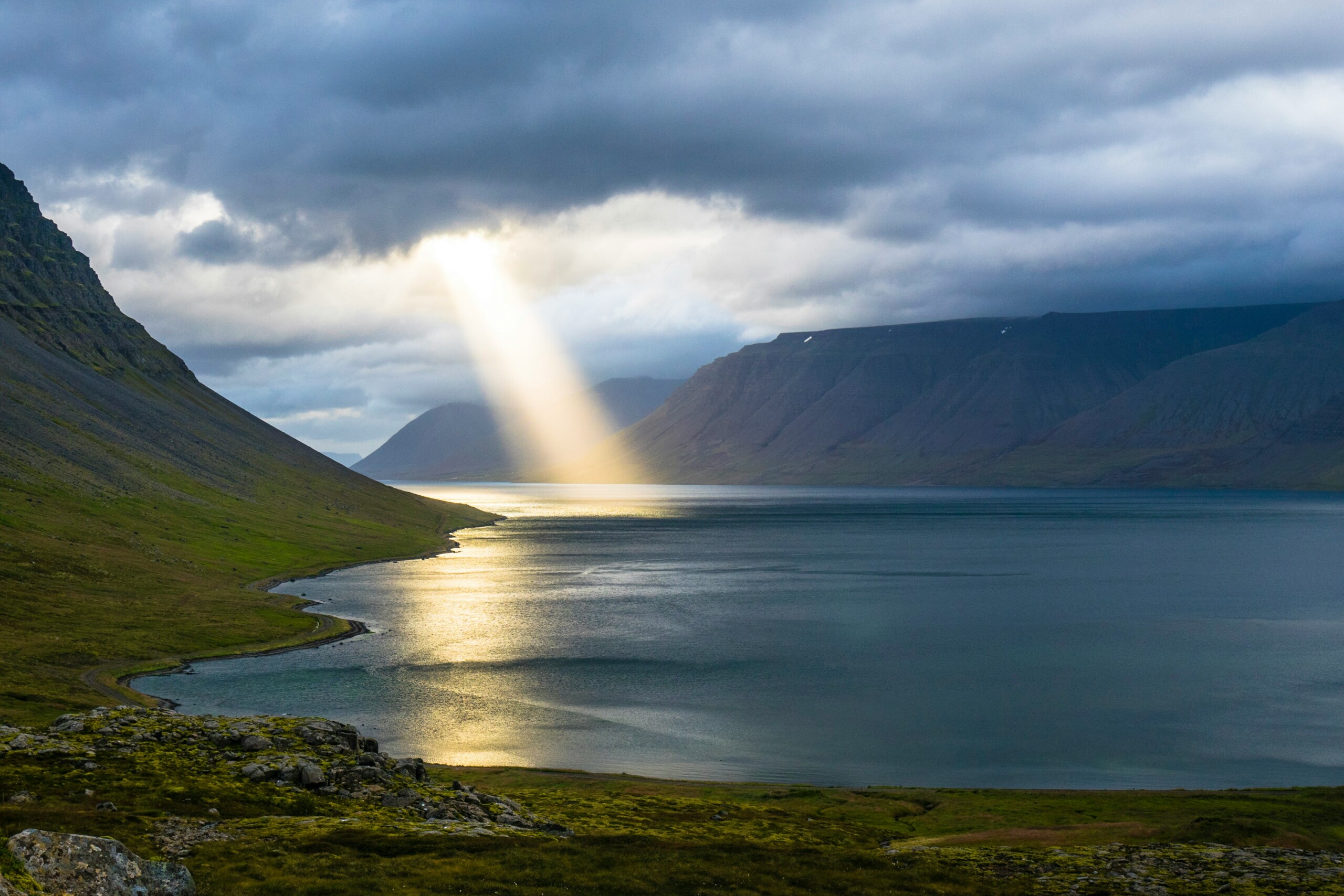 The Tension of Suffering, Flourishing, and the <em>Imago Dei</em>
