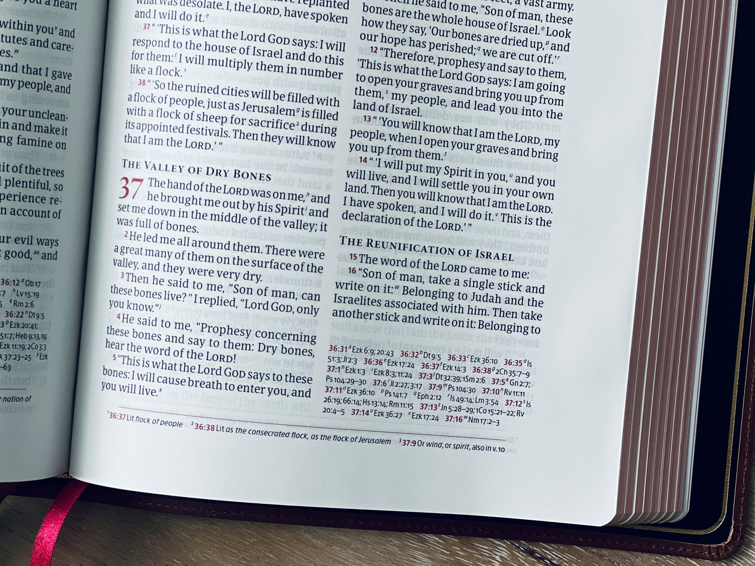 Of Prophets, Priests, and Professors -Part 1