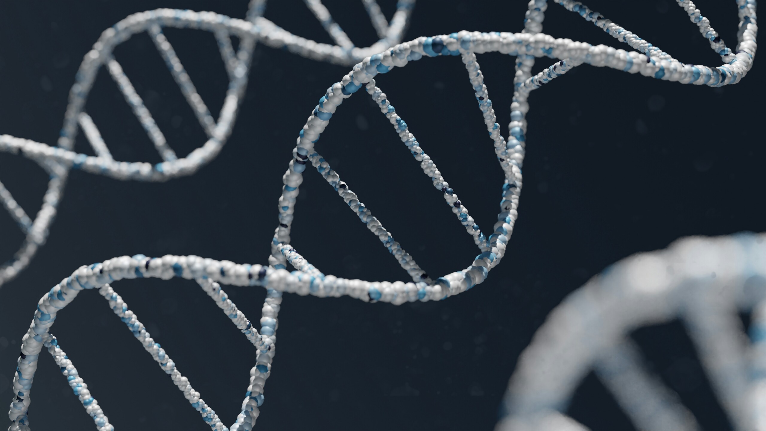 Science Once Again Dispels the Notion of “Junk”