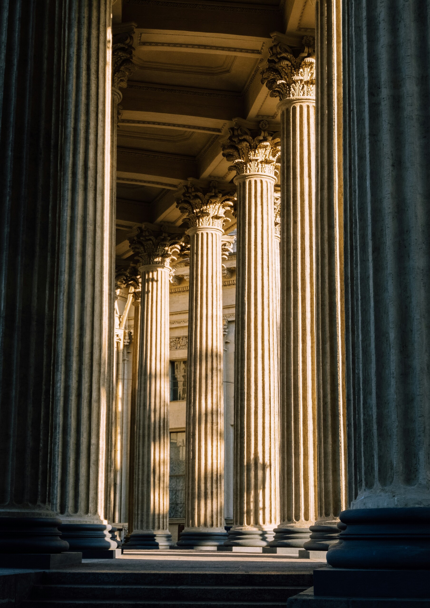 A Higher Education Toward the True Purpose of the University